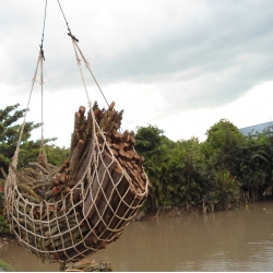 Lưới Cẩu Hàng - Net Lifting - Dệt Quang Trung